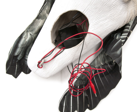 Чучело гуся Казарки, махокрыл купить в интернет-магазине ХантингАрт