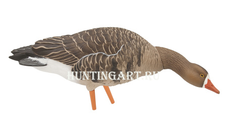 Комплект Avian-X из 6 полноразмерных чучел белолобого гуся с сумкой купить в интернет-магазине ХантингАрт