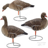 Набор чучел  белолобого гуся FFD ELIT купить в интернет-магазине ХантингАрт
