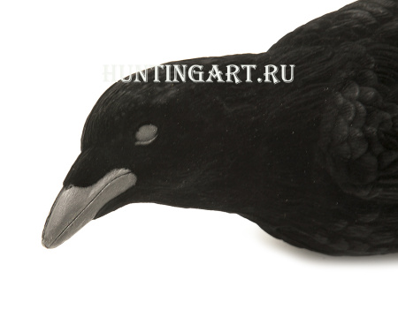 Чучела ворона купить в интернет-магазине ХантингАрт