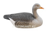 Картинка Комплект из 12 полукорпусных муляжей Серого гуся GreenHead от интернет-магазина ХантингАрт Комплект из 12 полукорпусных муляжей Серого гуся GreenHead купить в интернет-магазине ХантингАрт