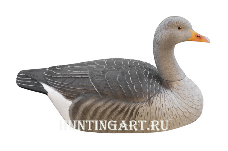 Картинка Комплект из 12 полукорпусных муляжей Серого гуся GreenHead от интернет-магазина ХантингАрт Комплект из 12 полукорпусных муляжей Серого гуся GreenHead купить в интернет-магазине ХантингАрт