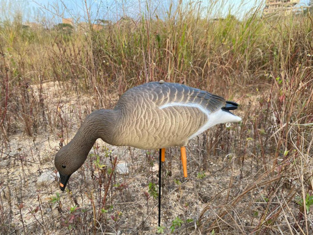 Гуменник гусь Elite 3D Greylag Goose, комплект 10 шт (8+2) мягкий пластик купить в интернет-магазине ХантингАрт