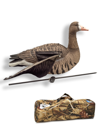 Белолобый гусь махокрыл, съемная голова купить в интернет-магазине ХантингАрт