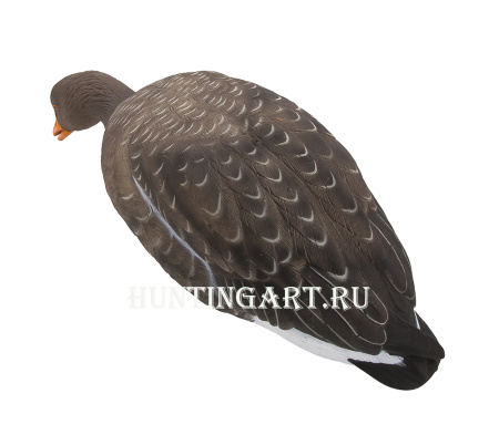 Комплект полнообъемных чучел FA HD fullbody Серого гуся (6 шт.) купить в интернет-магазине ХантингАрт
