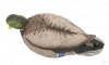 Комплект из 12 плавающих муляжей кряквы Avery GreenHead Gear Pro-Grade XD Series Mallards-Harvester (6 селезней и 6 уток) купить в магазине Хантингарт