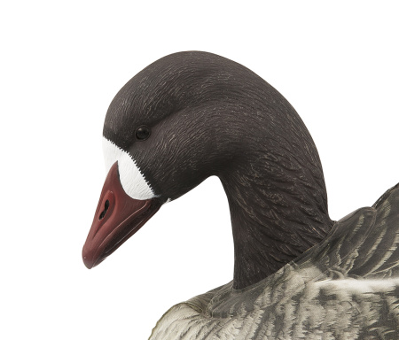 Надувные полевые чучела Белолобый гусь, 6шт - купить в Москве