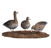 Комплект из 10 чучел Белолобого гуся North Way Живое перо S-XPE 3D (6 кормящихся+2 сторожевых+2 спящих) купить в интернет-магазине ХантингАрт