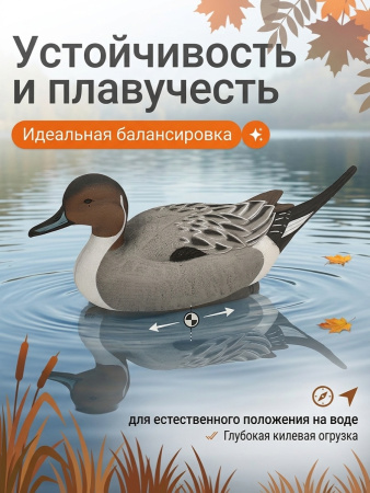 Чучело шилохвость (селезень), комплект 6шт купить в магазине Хантингарт