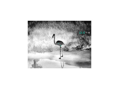 Тепловизионный бинокуляр Guide TN430 купить в интернет-магазине ХантингАрт