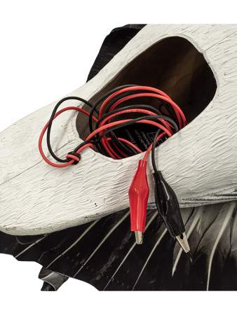 Казарка гусь, махокрыл кормящийся, съемная голова купить в интернет-магазине ХантингАрт