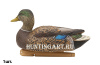 Комплект Avian-X Early Season Topflight Mallards (ранний сезон) из 6 чучел кряквы (4 селезня/2 утки) купить в магазине Хантингарт