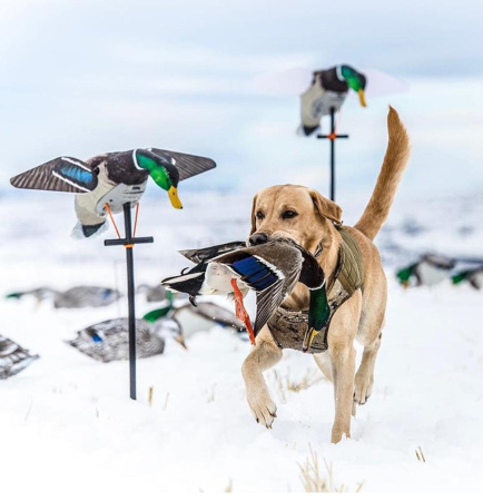 Чучела утки и селезня с вращающимися крыльями Lucky Duck Lucky Pair II купить в интерент-магазине Хантингарт