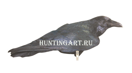 Профиль ворона купить в интернет-магазине ХантингАрт