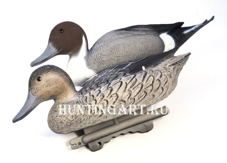 Чучело Шилохвости плавающей Sport Plast купить в магазине Хантингарт