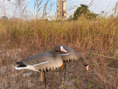 Белолобый гусь Elite 3D Speckbelly Goose, комплект 10 шт (8+2) мягкий пластик купить в интернет-магазине ХантингАрт