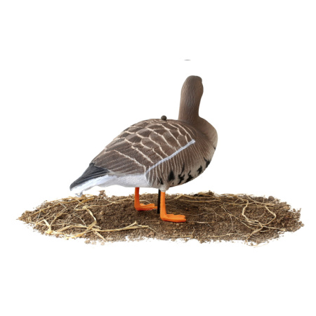 Набор из 10 шт (6 кормящихся, 2 сторожевых, 2 отдыхающих) сминаемых чучел Белолобого гуся Softplast 3D North Way купить в интернет-магазине ХантингАрт