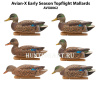 Комплект Avian-X Early Season Topflight Mallards (ранний сезон) из 6 чучел кряквы (4 селезня/2 утки) купить в магазине Хантингарт