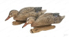 Комплект из 6 чучел уток кряквы Greenhead Gear Pro-Grade Series Mallards купить в магазине Хантингарт
