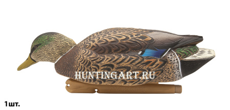 Комплект Avian-X Early Season Topflight Mallards (ранний сезон) из 6 чучел кряквы (4 селезня/2 утки) купить в магазине Хантингарт