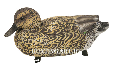 Чучело утки Чирка Eurasian Teal USA купить в магазине Хантингарт
