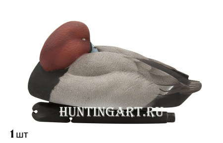 Комплект Avian-X Topflight Readheads из 6 полноразмерных чучел Красноголового нырка купить в магазине Хантингарт