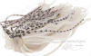 Картинка Силиконовая юбка LIMBER-LEGS® BAITFISH SKIRT 3" от интернет-магазина ХантингАрт Силиконовая юбка LIMBER-LEGS® BAITFISH SKIRT 3" купить в интернет-магазине ХантингАрт