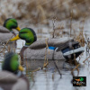 Комплект GHG Pro Grade XD из 12 шт муляжей Кряквы серии Mallards купить в магазине Хантингарт