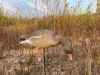 Серый гусь Elite 3D Greylag Goose, комплект 10 шт (8+2) мягкий пластик купить в интернет-магазине ХантингАрт