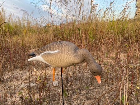 Серый гусь Elite 3D Greylag Goose, комплект 10 шт (8+2) мягкий пластик купить в интернет-магазине ХантингАрт