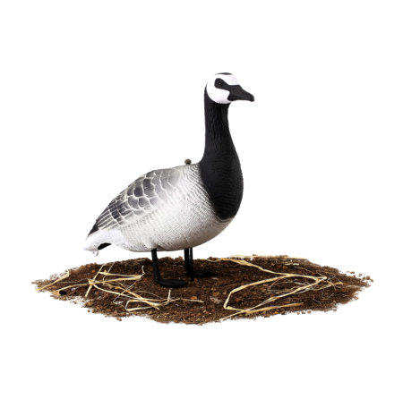 Комплект из 10 сминаемых чучел Белощекой казарки Softplast 3D North Way (8 кормящихся+2 сторожевых) купить в интернет-магазине ХантингАрт