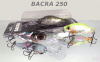 Воблер Gan Craft Bacra 250 купить в интернет-магазине ХантингАрт