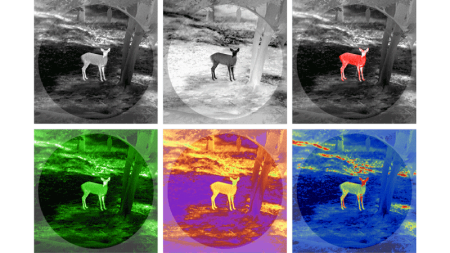 Тепловизионный бинокуляр Guide TN430 купить в интернет-магазине ХантингАрт