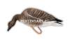 Гусь Гуменник Avian-Mix Elite 3D, комплект 6шт купить в интернет-магазине ХантингАрт
