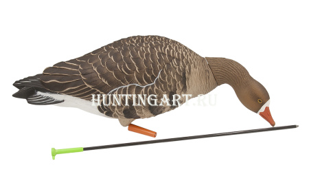 Комплект Avian-X из 6 полноразмерных чучел белолобого гуся с сумкой купить в интернет-магазине ХантингАрт