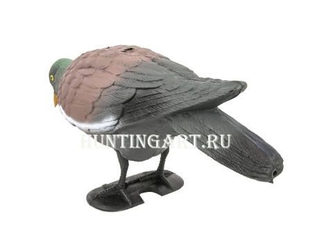 Чучело голубя с лапами на опоре Birdland купить в интернет-магазине ХантингАрт