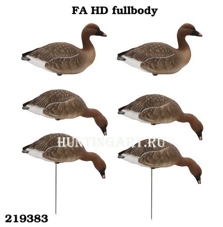 Комплект FA HD fullbody (FA-219383) полнообъемных чучел гуся Гуменника (6 шт) купить в интернет-магазине ХантингАрт