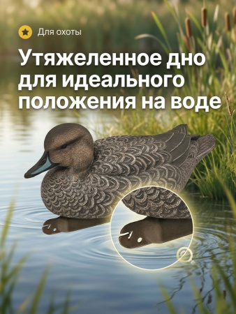 Чучело шилохвость (утка), комплект 6шт купить в магазине Хантингарт