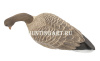 Плавающие чучела Белолобого гуся Floater Speckbelly Goose Oscar Decoys (мягкий пластик), 6 шт в трех позах купить в интернет-магазине ХантингАрт