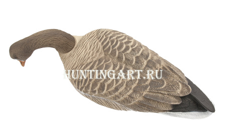 Плавающие чучела Белолобого гуся Floater Speckbelly Goose Oscar Decoys (мягкий пластик), 6 шт в трех позах купить в интернет-магазине ХантингАрт