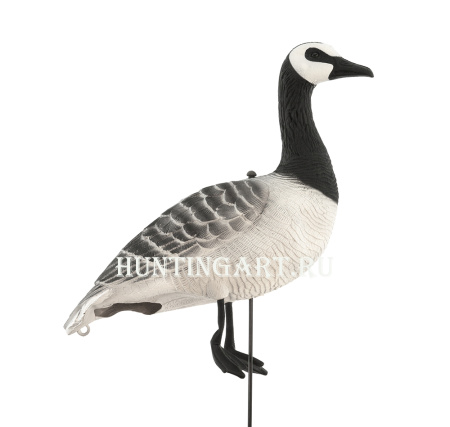 Комплект из 10 сминаемых чучел Белощекой казарки Softplast 3D North Way (8 кормящихся+2 сторожевых) купить в интернет-магазине ХантингАрт