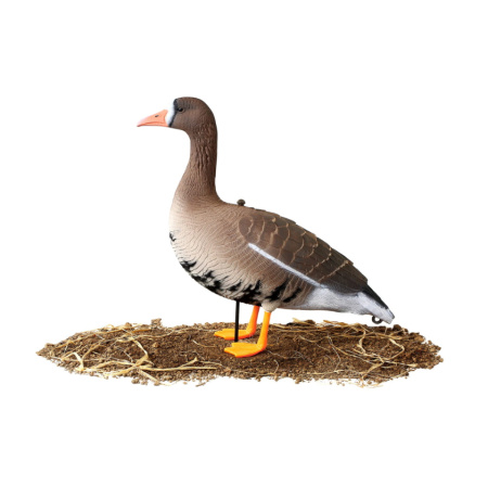 Набор из 10 шт (6 кормящихся, 2 сторожевых, 2 отдыхающих) сминаемых чучел Белолобого гуся Softplast 3D North Way купить в интернет-магазине ХантингАрт
