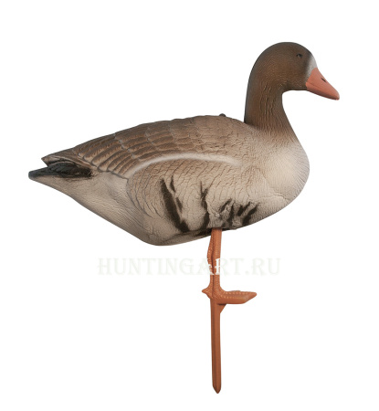 Комплект Birdland из 6 шт складных Белолобых чучел на опоре-стойке купить в интернет-магазине ХантингАрт