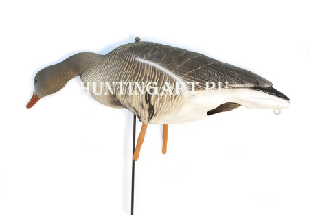 Комплект Art Specked Belly Goose из 10 сминаемых чучел Белолобого гуся (8 кормящихся + 2 сторожевых) купить в интернет-магазине ХантингАрт