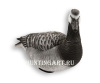 Казарка гусь Avian-Mix Elite 3D, комплект 6шт купить в интернет-магазине ХантингАрт