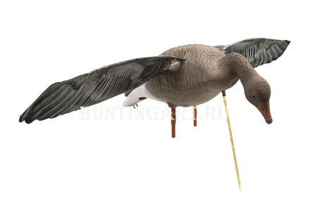 Гусь Серый, махокрыл купить в интернет-магазине ХантингАрт