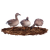 Сминаемое чучело North Way Sofplast 3D Гуменник гусь, 10 чучел (6-кормящихся, 2-отдыхающих, 2-сторожевых) купить в интернет-магазине ХантингАрт