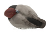 Комплект Avian-X Topflight Readheads из 6 полноразмерных чучел Красноголового нырка купить в магазине Хантингарт