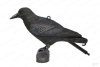Чучело Ворона на ногах-стойке Sport Plast купить в интернет-магазине ХантингАрт