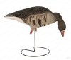 Комплект Greenhead Gear Pro-Grade FFD из 6 полнокорпусных муляжей Белолобого гуся (флок) купить в интернет-магазине ХантингАрт